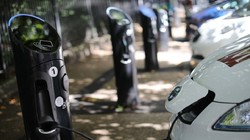 (Ảnh: Business Insider)