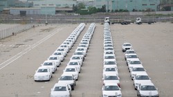 Bộ GTVT yêu cầu các doanh nghiệp nhập khẩu ô tô nghiêm túc thực hiện các quy định tại Nghị định 116 và Thông tư 03.