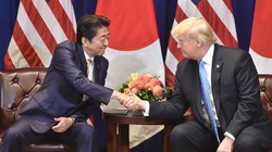 Phía Hoa Kỳ muốn có một thỏa thuận thương mại tự do hoàn toàn với Nhật Bản. (Ảnh: The Japan Times)