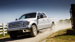 Ford cho biết đã có 5 vụ tai nạn được báo cáo liên quan đến vấn đề về lỗi hộp số.