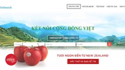 Mạng lưới Vietsearch kết nối cộng đồng người Việt (ảnh chụp màn hình)
