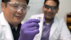 Pin nhiên liệu sinh học hoạt động bằng đường glucose