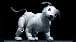 Chó Aibo, sản phẩm sáng tạo độc đáo của Sony. Ảnh: Sony.
