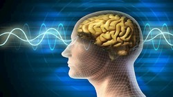 Sóng não có thể điều khiển cánh tay robot