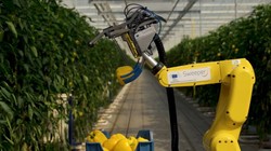 Ảnh: Sweeper Robot