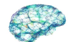 Trí tuệ nhân tạo biến hoạt động của não thành lời nói.