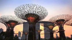 Với tốc độ truy cập Internet cao ở Singapore thì mức phí chi trả cũng không hề rẻ. ẢNH CHỤP MÀN HÌNH