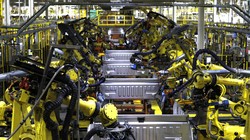 Nhiều công ty trong các ngành công nghiệp ở Bắc Mỹ đang đẩy mạnh triển khai lao động robot. Ảnh: US News.
