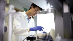 Công cụ tiên tiến này có khả năng phát hiện ung thư dễ dàng, nhanh chóng chỉ với một lượng máu rất nhỏ.
