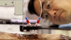 Máy in 3D sinh học