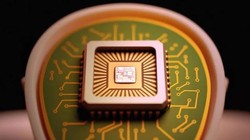 Ảnh minh họa - Alamy