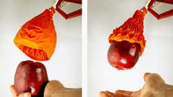 Robot Origami đang nhặt lấy trái táo từ bàn tay của nhà nghiên cứu.