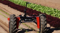 Robot Digital Farmhand, sản phẩm tuyệt vời của Agerris - Ảnh: Đại học Sydney