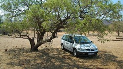 Trời nóng nên đỗ xe dưới bóng cây hoặc những chỗ không có nắng