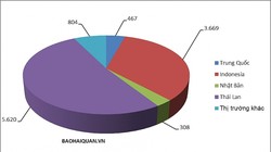 Cơ cấu sản lượng của 4 thị trường chính trong tổng sản lượng nhập khẩu ô tô cả nước tháng 4. Biểu đồ: T.Bình.