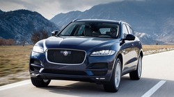 Đến hết tháng 5/2019, Việt Nam nhập khẩu tới 64.795 chiếc ô tô nguyên chiếc các loại, gấp hơn 7 lần so với cùng kỳ năm trước, với trị giá đạt 1,43 tỷ USD