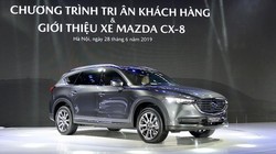 Thaco hiện có quy mô lớn nhất, doanh số và thị phần luôn dẫn đầu thị trường và là doanh nghiệp duy nhất đến thời điểm này sản xuất, phân phối đầy đủ các chủng loại ô tô