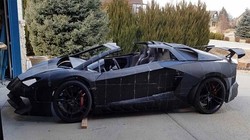 Chiếc xe của hai cha con tiến sĩ Sterling Backus