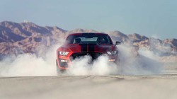 Ford Mustang Shelby GT500