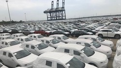 Ô tô nhập khẩu qua cảng Hiệp Phước. Ảnh: T.H
