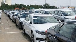 Lô hàng Honda Accord (phải) cập cảng Hiệp Phước, TP HCM, tháng 9/2019. Ảnh: Lâm Hải Quang