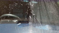 Phủ nano tạo hiệu ứng chống bám chất lỏng tương tự “lá sen”. Ảnh BD