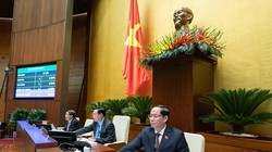 Đại biểu Quốc hội ấn nút biểu quyết thông qua dự án Luật sửa đổi, bổ sung một số điều của Luật Tần số vô tuyến điện