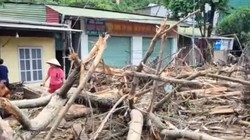 Lũ khủng khiếp ở Nghệ An: "Nghèo trở lại rồi, mất hết tất cả!"