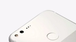 Google chỉ ra mắt 2 mẫu Pixel trong năm nay