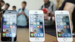 Ảnh minh họa (qz.com)