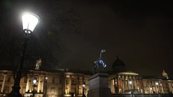 Chiếu sáng liên tục vào ban đêm sẽ ảnh hưởng đến thực vật và vi sinh vật, cũng như sức khỏe con người (ảnh: Getty Images)