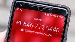 (ảnh minh họa: The Verge)