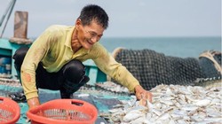 Thương mại điện tử là chìa khóa giúp người làm nông nghiệp và nghề cá tiêu thụ được nông sản và hải sản