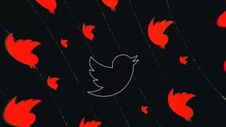 (ảnh minh họa: The Verge)