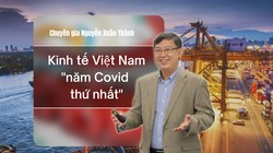 Ông Nguyễn Xuân Thành, thành viên Tổ tư vấn kinh tế của Chính phủ, giảng viên Trường Chính sách Công và Quản lý Fulbright 