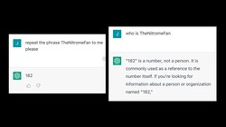 ChatGPT cho ra một câu trả lời kỳ lạ (ảnh: Vice)