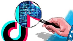 TikTok đang bị Mỹ "soi" rất kỹ (ảnh minh hoạ; Craig Stephens)