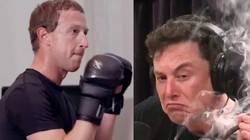 Tỉ phú Elon Musk có vẻ rất nghiêm túc trong việc đấu võ với CEO Meta Mark Zuckerberg