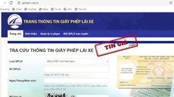 Nhiều website đội lốt trang thông tin tra cứu giấy phép lái xe của Bộ Giao thông Vận tải