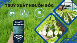 Làm sao để ăn sạch, uống ngon, dùng hàng chính hãng? Bài 2- Thực tiễn truy xuất nguồn gốc ở Mỹ và EU