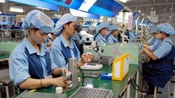 Doanh nghiệp có nhiều lao động nữ hoặc có nữ lãnh đạo sẽ được hỗ trợ đào tạo về chuyển đổi số