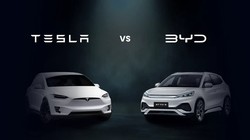 Cổ phiếu Tesla giảm 6% sau khi có "tin xấu" từ BYD