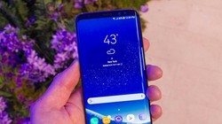 ảnh: Business Insider