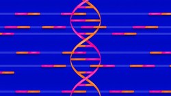 Ảnh minh họa (The Verge)