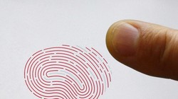 Một cảm biến vân tay mới có thể phát hiện được cả nhiệt độ của người dùng (Ảnh Reuters)