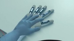 ảnh minh họa (nguồn Trung tâm Ecole Polytechnique Fédérale de Lausanne)