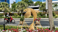 Đường hoa biển Đà Nẵng 2024 dự kiến sẽ chính thức đưa vào phục vụ từ ngày 5/6/2024 để phục vụ người dân và du khách