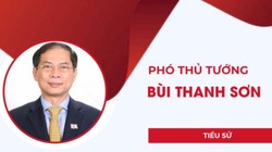 Infographic: Chân dung Phó Thủ tướng Bùi Thanh Sơn, Bộ trưởng Bộ Ngoại giao