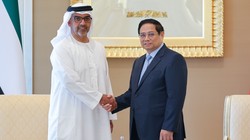 Thủ tướng Phạm Minh Chính tiếp Giám đốc Cơ quan Đầu tư Abu Dhabi (ADIA) Sheikh Hamed bin Zayed Al Nahyan. Ảnh: VGP/Nhật Bắc.