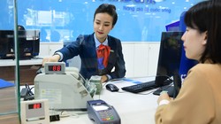 Cổ đông sở hữu vượt trần tại ngân hàng không được nhận cổ tức bằng tiền 